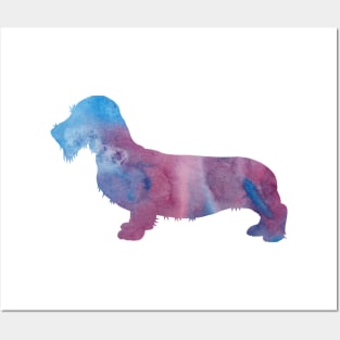 Dachshund - Doxie Posters and Art